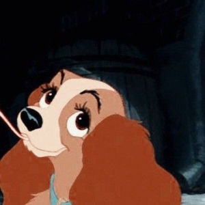 lady and the tramp matching pfp