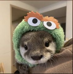 Cute Otter Pfp P 7