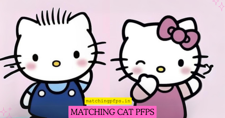 Matching Cat Pfps Collection (150+ Images)