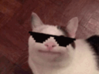 Cat Wearing Glasses