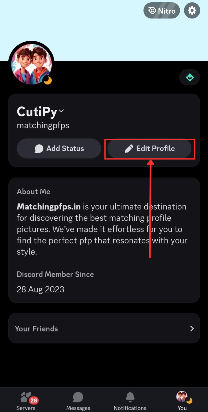 Discord App User Profile Section