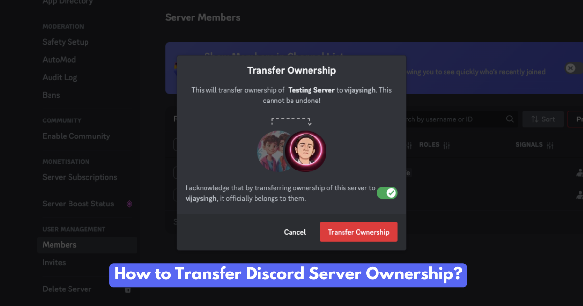 Transfer Discord Server Ownership
