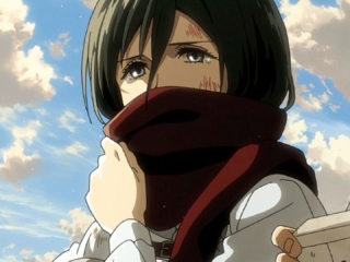 Mikasa