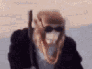 Monkey Don